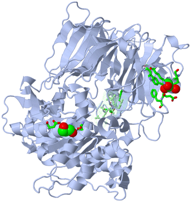 Image Asym./Biol. Unit - sites