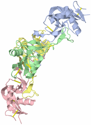 Image Asymmetric Unit