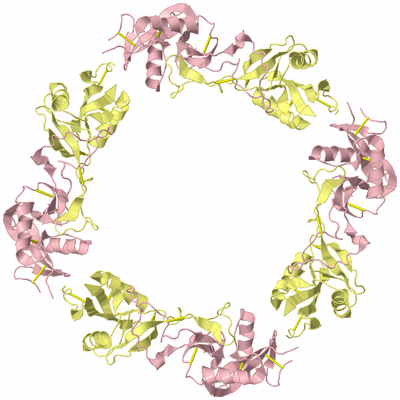 Image Biological Unit 2