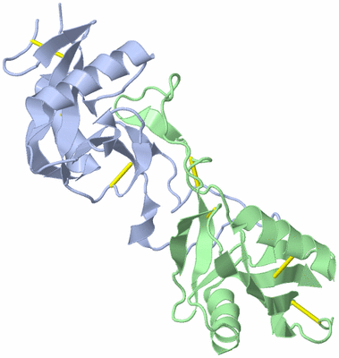 Image Biological Unit 3