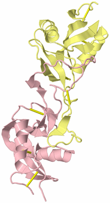Image Biological Unit 4
