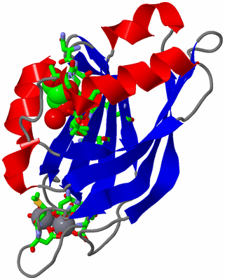 Image Asym./Biol. Unit - sites