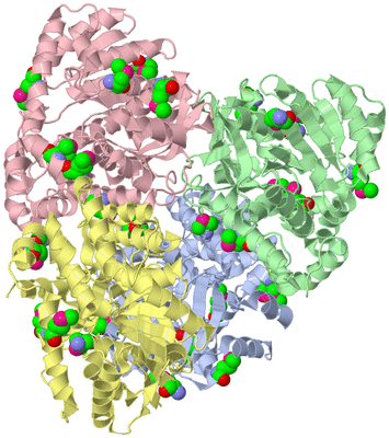 Image Biological Unit 1