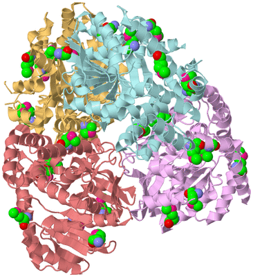 Image Biological Unit 2