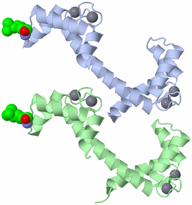 Image Asymmetric Unit