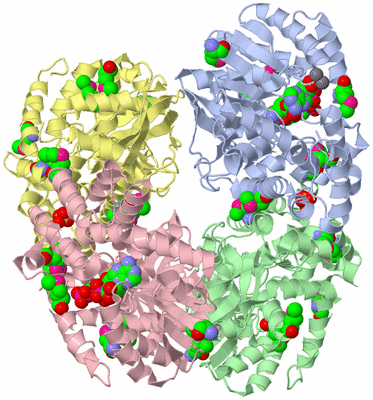 Image Biological Unit 1