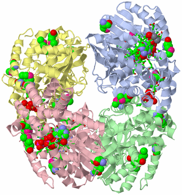 Image Biol. Unit 1 - sites