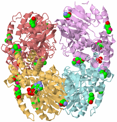 Image Biological Unit 2