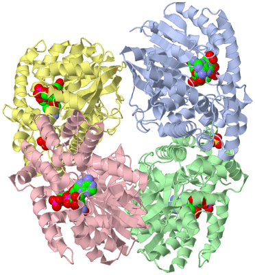 Image Biological Unit 1