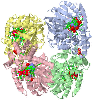 Image Biol. Unit 1 - sites