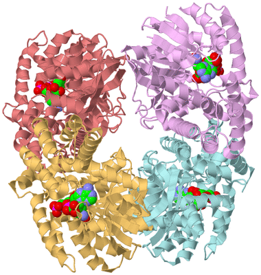 Image Biological Unit 2