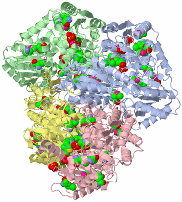 Image Asym./Biol. Unit