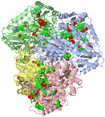 Image Asym./Biol. Unit - sites