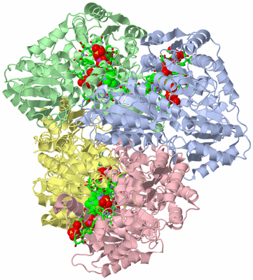 Image Asym./Biol. Unit - sites