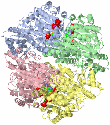 Image Biological Unit 1