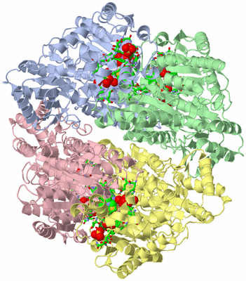 Image Biol. Unit 1 - sites