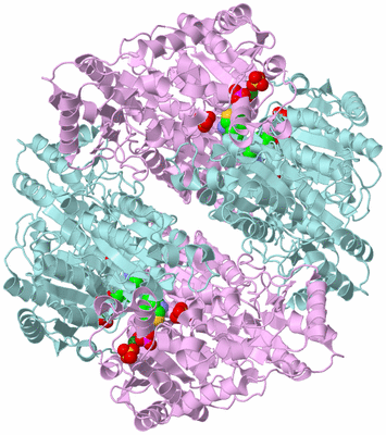 Image Biological Unit 2