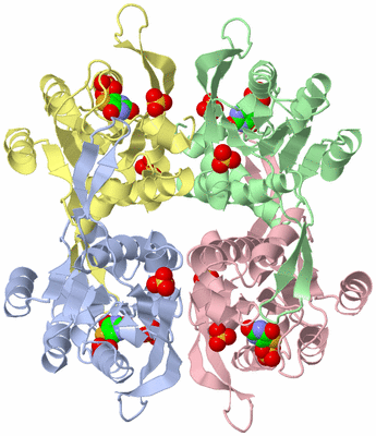 Image Asym./Biol. Unit