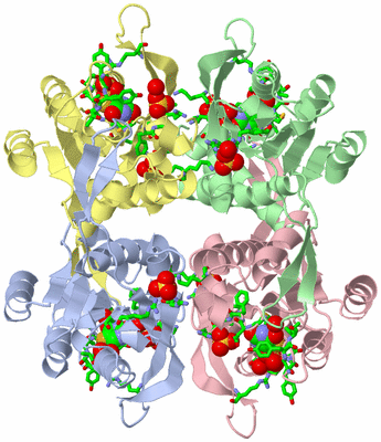 Image Asym./Biol. Unit - sites