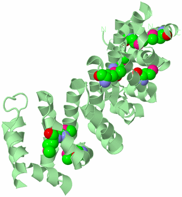 Image Biological Unit 2