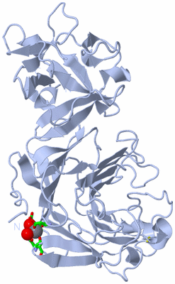Image Biol. Unit 1 - sites