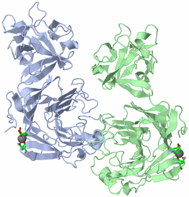 Image Asym. Unit - sites
