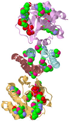 Image Biological Unit 2