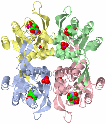 Image Asym./Biol. Unit