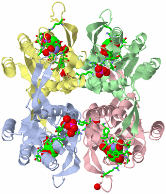 Image Asym./Biol. Unit - sites