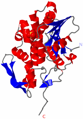 Image Asymmetric Unit