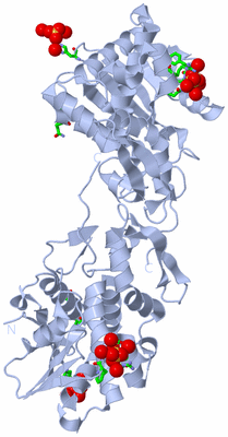 Image Biol. Unit 1 - sites
