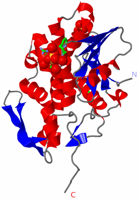 Image Asym. Unit - sites