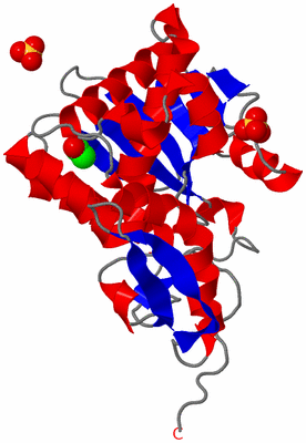 Image Asymmetric Unit
