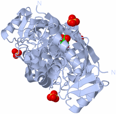 Image Biological Unit 1