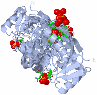 Image Biol. Unit 1 - sites