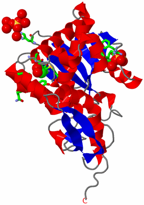 Image Asym. Unit - sites