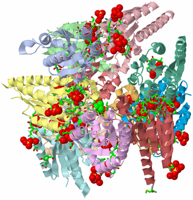 Image Asym./Biol. Unit - sites
