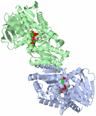 Image Asym./Biol. Unit