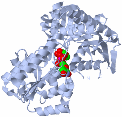 Image Biological Unit 1