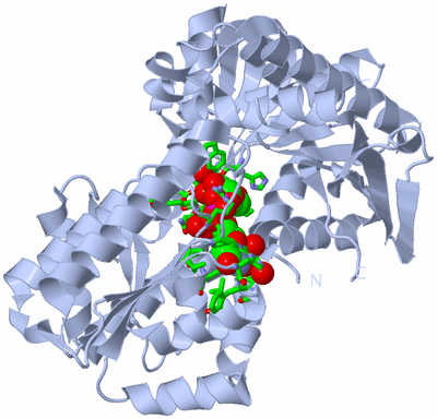 Image Biol. Unit 1 - sites