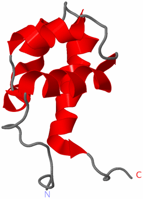 Image NMR Structure - model 1