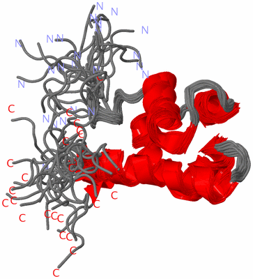 Image NMR Structure - all models