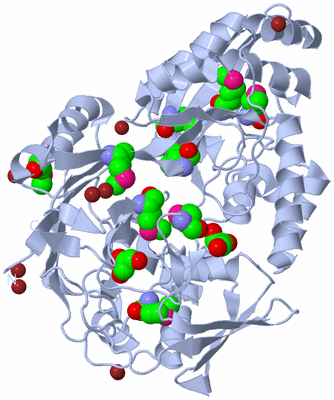 Image Biological Unit 1