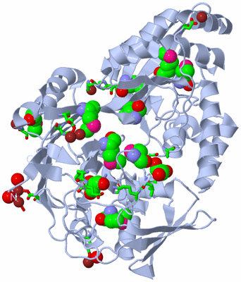 Image Biol. Unit 1 - sites