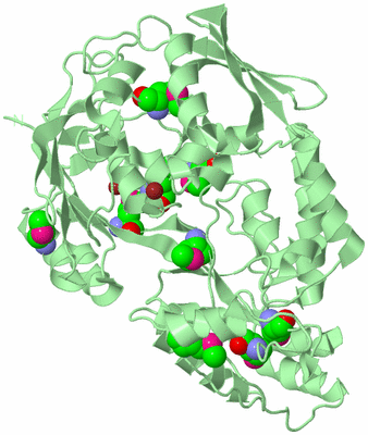 Image Biological Unit 2