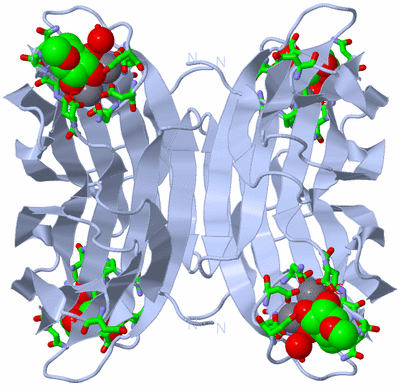 Image Biol. Unit 1 - sites