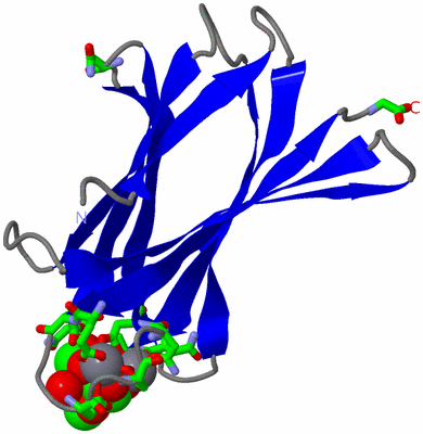 Image Asym. Unit - sites