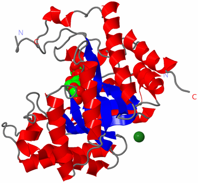 Image Asym./Biol. Unit