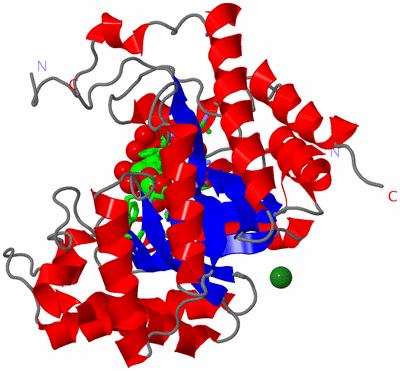 Image Asym./Biol. Unit - sites