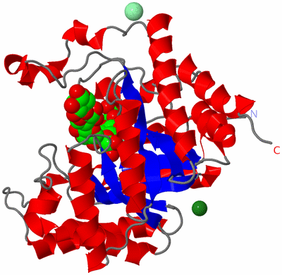 Image Asym./Biol. Unit